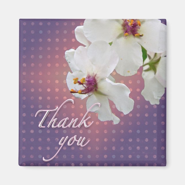 Aimant Merci Moth Mullein Fleur sauvage (Devant)