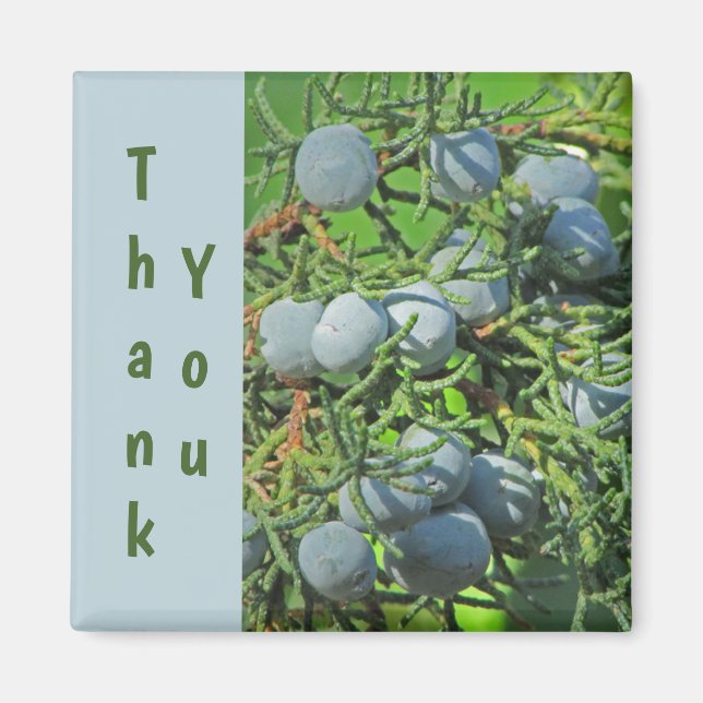 Aimant Merci Spring Pine Berries Photo Appréciation (Devant)