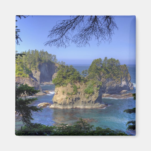 Aimant Mers, Terres tribales de la nation Makah, Cap (Devant)