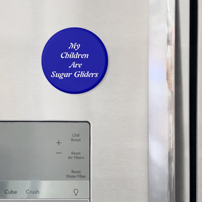 Aimant Mes enfants sont des planeurs de sucre (In situ (réfrigérateur))