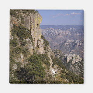 Aimant Mexique, Etat du Chihuahua, Canyon du cuivre. CE 2