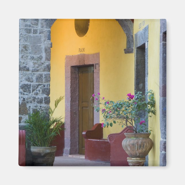 Aimant Mexique, San Miguel de Allende, Entrée de voûte (Devant)