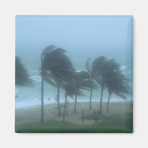 Aimant Miami Beach, Floride, vents d'ouragan fouettant
