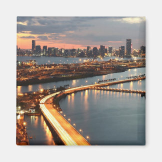 Aimant Miami Skyline
