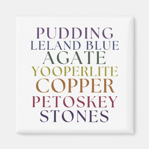 Aimant Michigan Rockhound Agate Petoskey Stone Magent