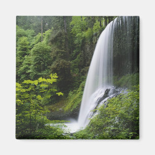 Aimant Middle North tombe, Silver Falls State Park,