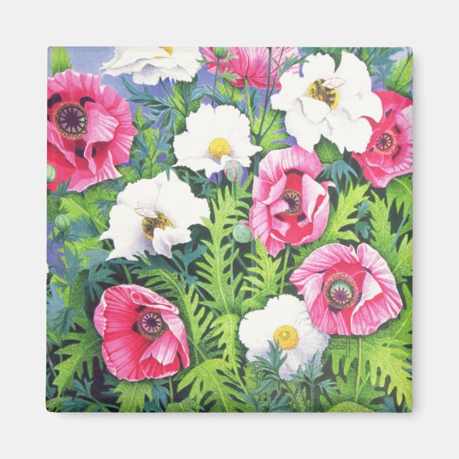 Aimant Miel Bee Honey Bee (Devant)