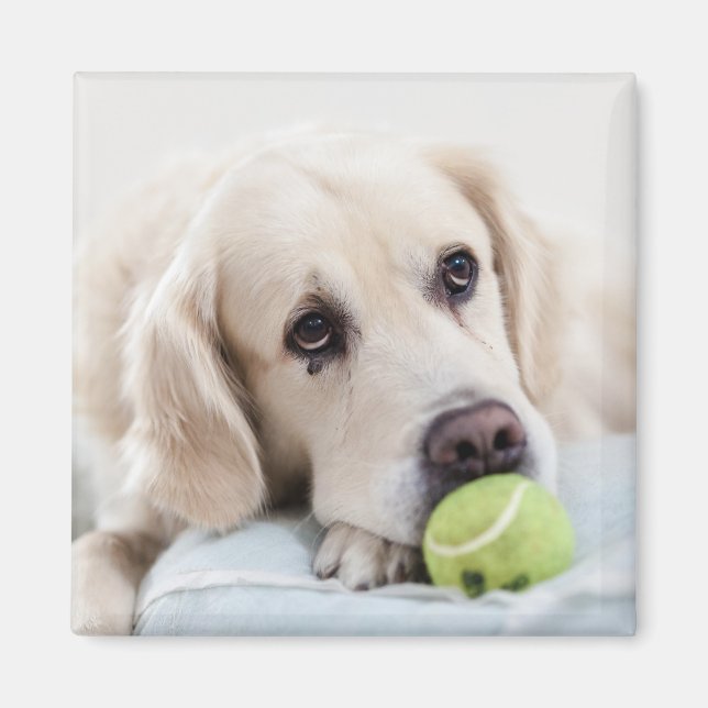 Aimant mignon chien 4 (Devant)