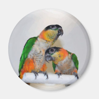 Aimant mignon d'aquarelle de paires de perroquet