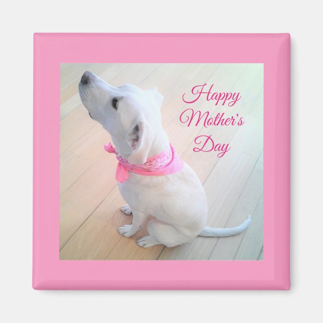 Aimant Mignonne Chien blanc portant l'écharpe rose Fête d (Devant)