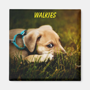 Aimant Mignonne Chien Chien Chien Chien Chien Gros