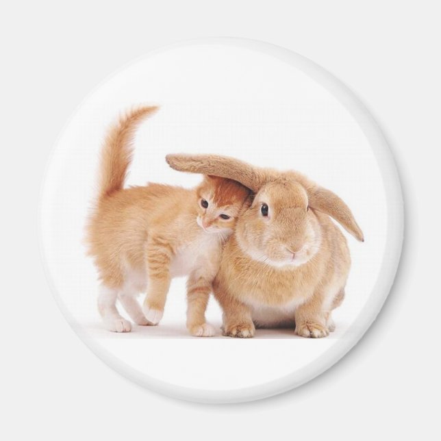 Aimant mignonne_drôle_animaux_8 chaton lapin lapin amis (Devant)