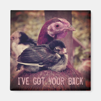 Aimant Mignonne Mère Hen et Chick