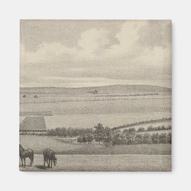 Aimant Mill Brae Ranch, Kansas (Devant)