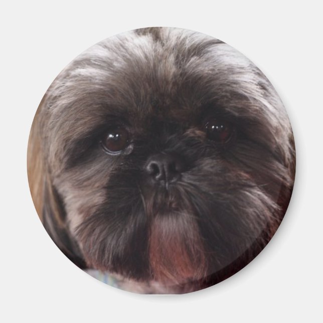 Aimant Millie aimnet (Devant)