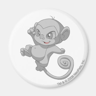 Aimant Minci Silver
