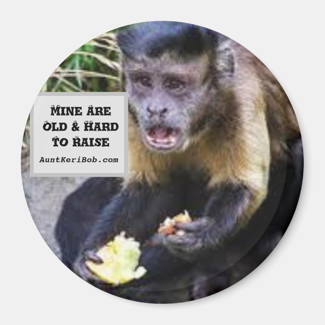 Aimant Mine are hard to raise (Devant)