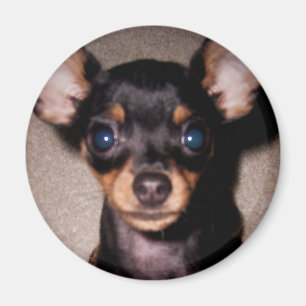 Aimant mini broche.