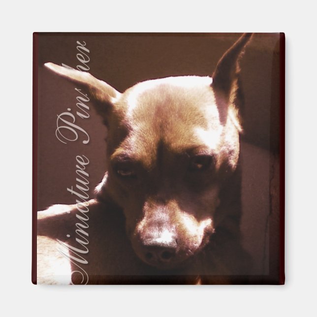 Aimant Miniature de Pinscher (Devant)