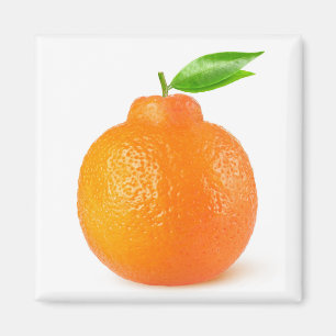 Aimant Minneola tangelo agrumes