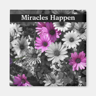 Aimant Miracles Happen Daisies Inspiration