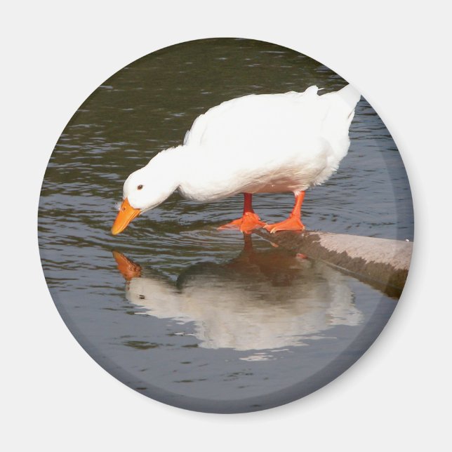 Aimant Mirror (Devant)