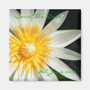 Aimant Miss Sunshine - Enregistrer La Date