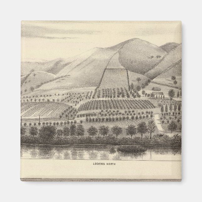 Aimant Mizzen Top Rancho (Devant)