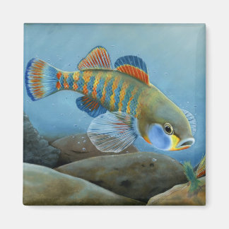 Aimant MO 2008 Jenkins 1721 haut064