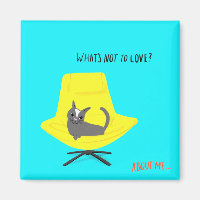 Mod Cats - What's Not to Love ?