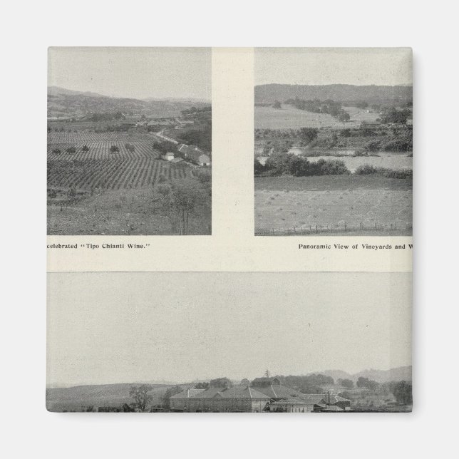 Aimant Model Vineyards, Californie (Devant)