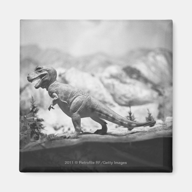 Aimant Modèle de tyrannosaurus rex B&W (Devant)