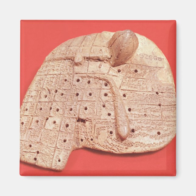 Aimant Modèle du foie d'un mouton (Devant)