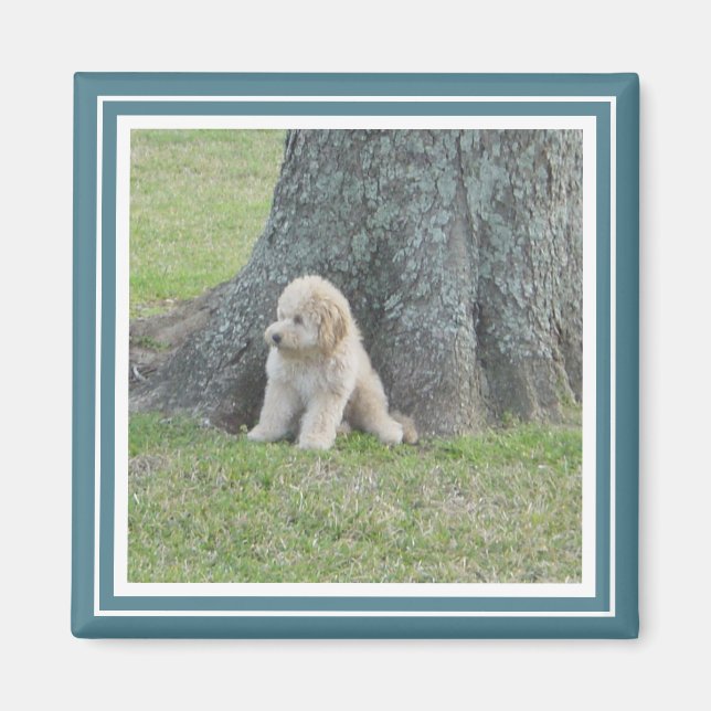 Aimant Modèle photo personnalisé Moderne Turquoise & Blan (Devant)