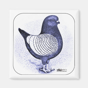 Aimant Modena Argent