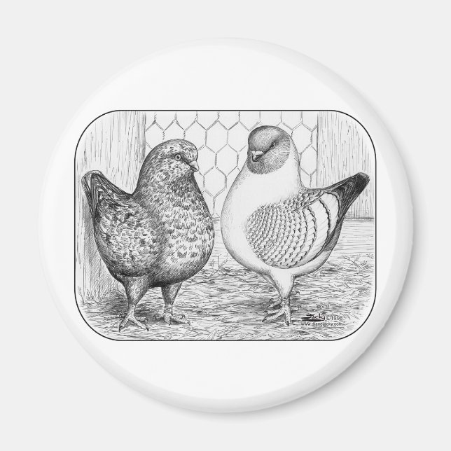 Aimant Modène deux (Devant)