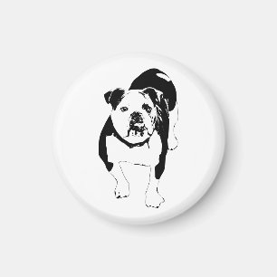 Aimant Moderne, Accent Bouledogue