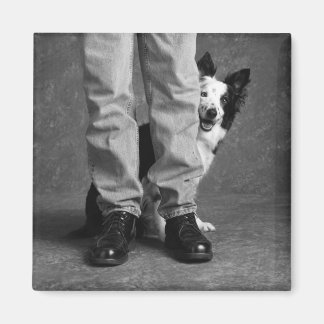 Aimant Moi et mon ombre - Collie Dog