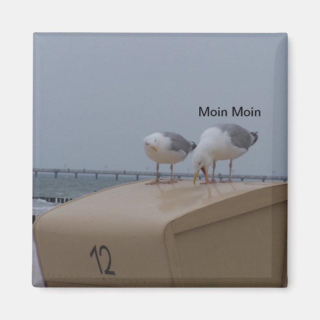 Aimant Moin (Devant)