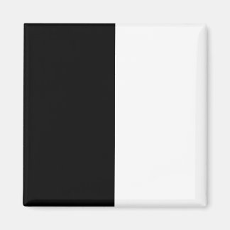 Aimant moitié blanc noir moitié noir moitié noir blanc