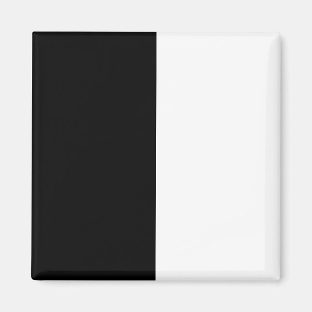 Aimant moitié blanc noir moitié noir moitié noir blanc (Devant)