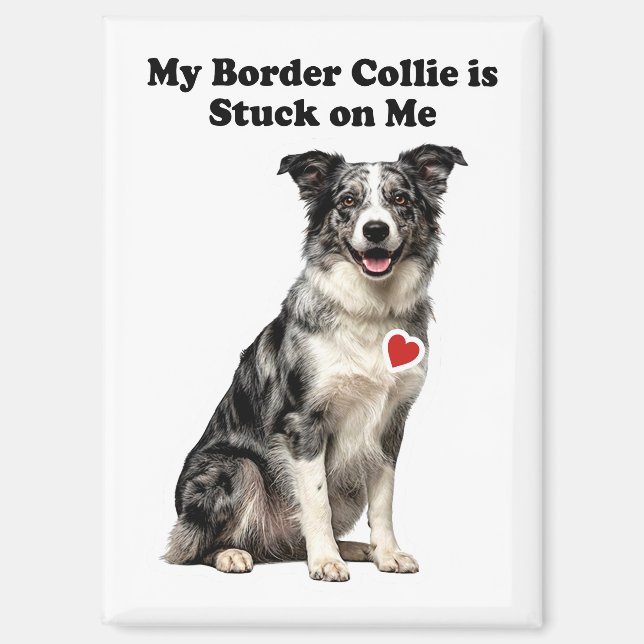Aimant Mon Border Collie Merle Bleu est accroché à moi (Recto)