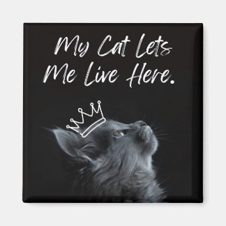 Aimant Mon chat me laisse vivre ici