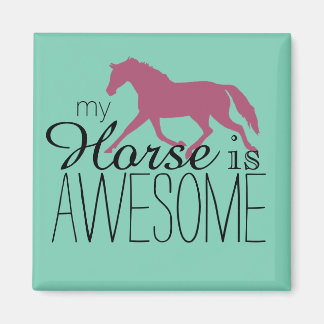 Aimant Mon Cheval Est Un Équestre Magnifique