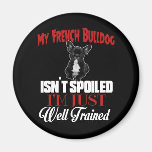 Aimant Mon Chien à la Puce n'est pas gâché