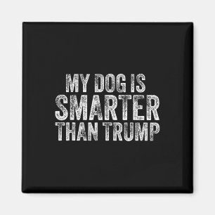 Aimant Mon chien est plus intelligent que Trump drôle ant