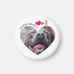 Aimant Mon coeur appartient à Pitbull chien photo personn
