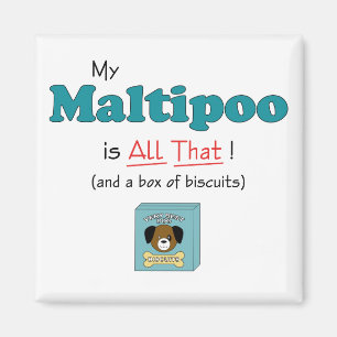 Aimant Mon Maltipoo est tout cela !