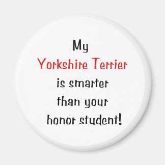 Aimant Mon Yorkshire Terrier est plus intelligent...