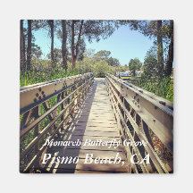 Monarch Butterfly Grove : Pismo Beach, CA